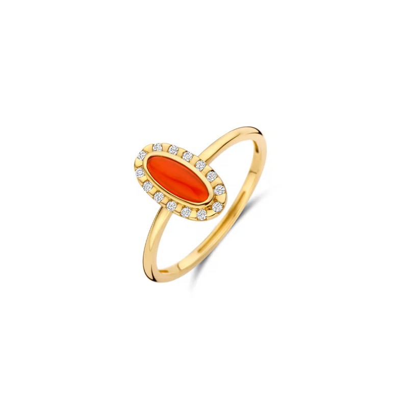 Gouden sieraden Blush - 63573
