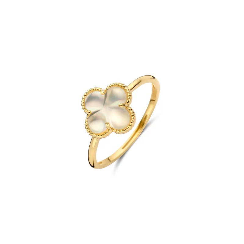 Gouden sieraden Blush - 63576