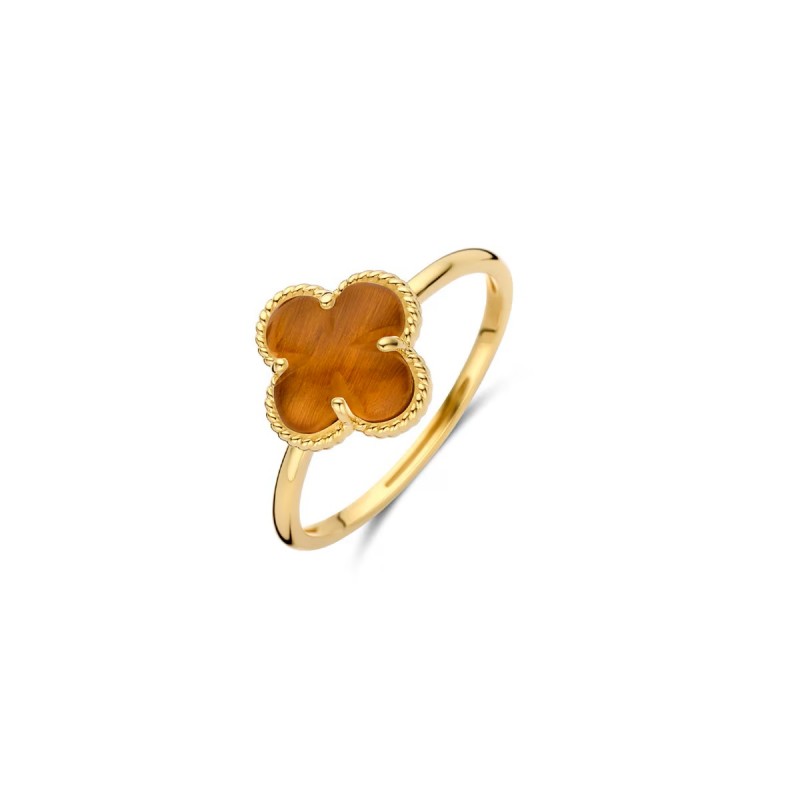 Gouden sieraden Blush - 63577