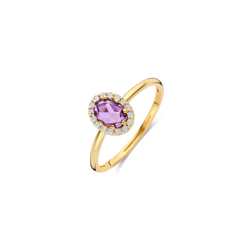 Gouden sieraden Blush - 63578