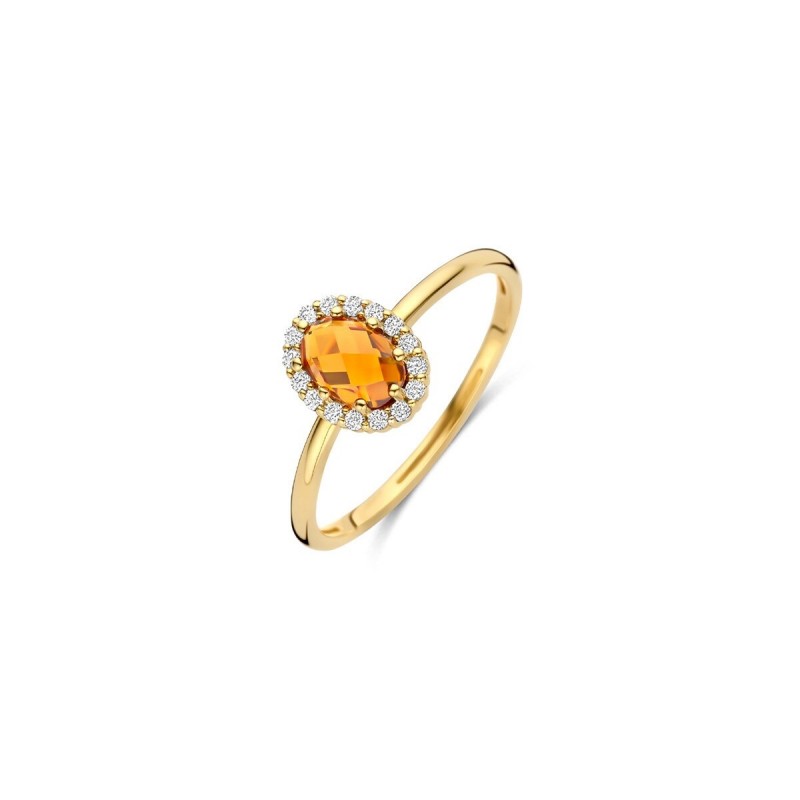 Gouden sieraden Blush - 63579