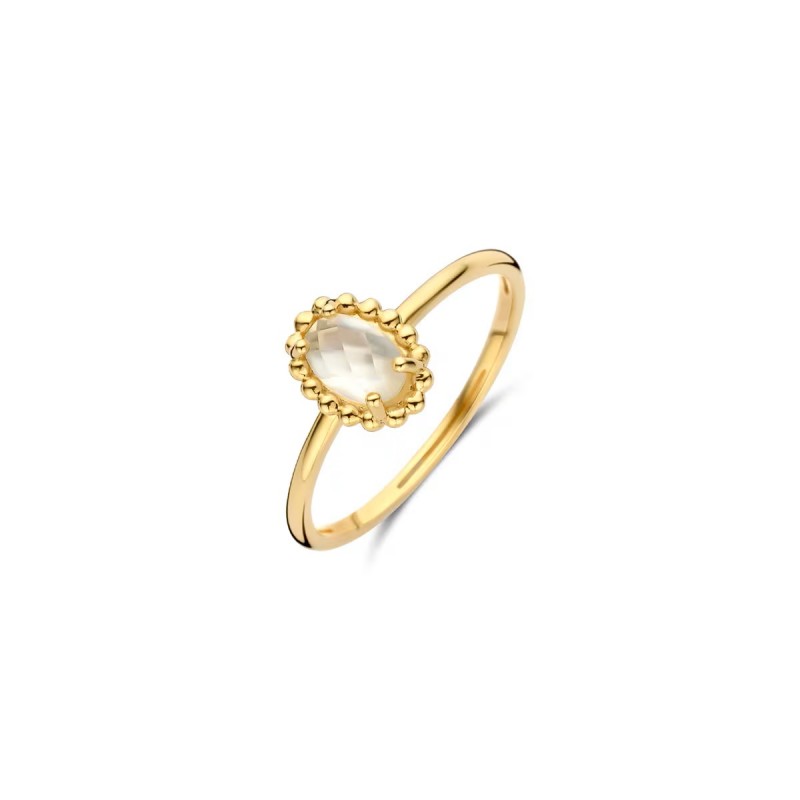Gouden sieraden Blush - 63582