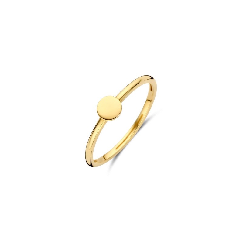 Gouden sieraden Blush - 63586