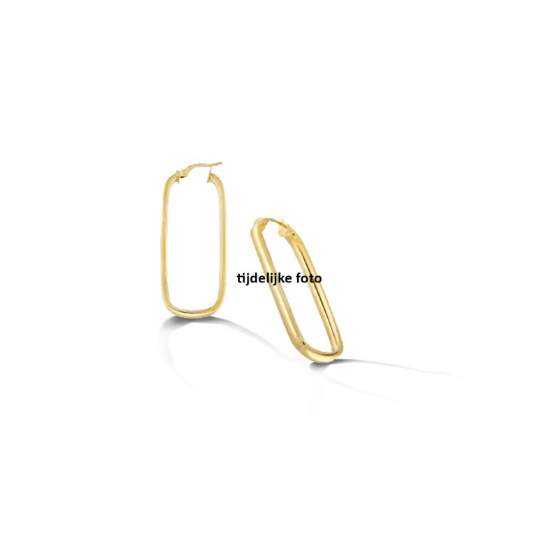Gouden sieraden - 60295