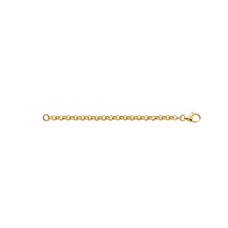 Gouden sieraden Fjory - 52600