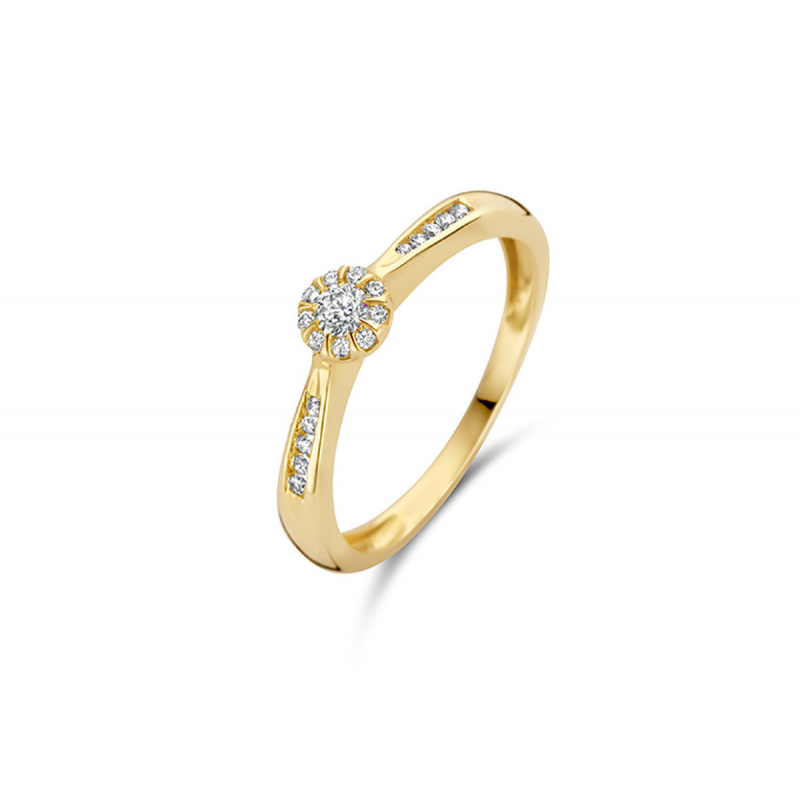 Gouden sieraden Blush - 59965