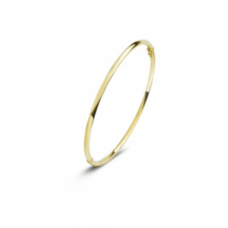 Gouden sieraden Fjory - 61803