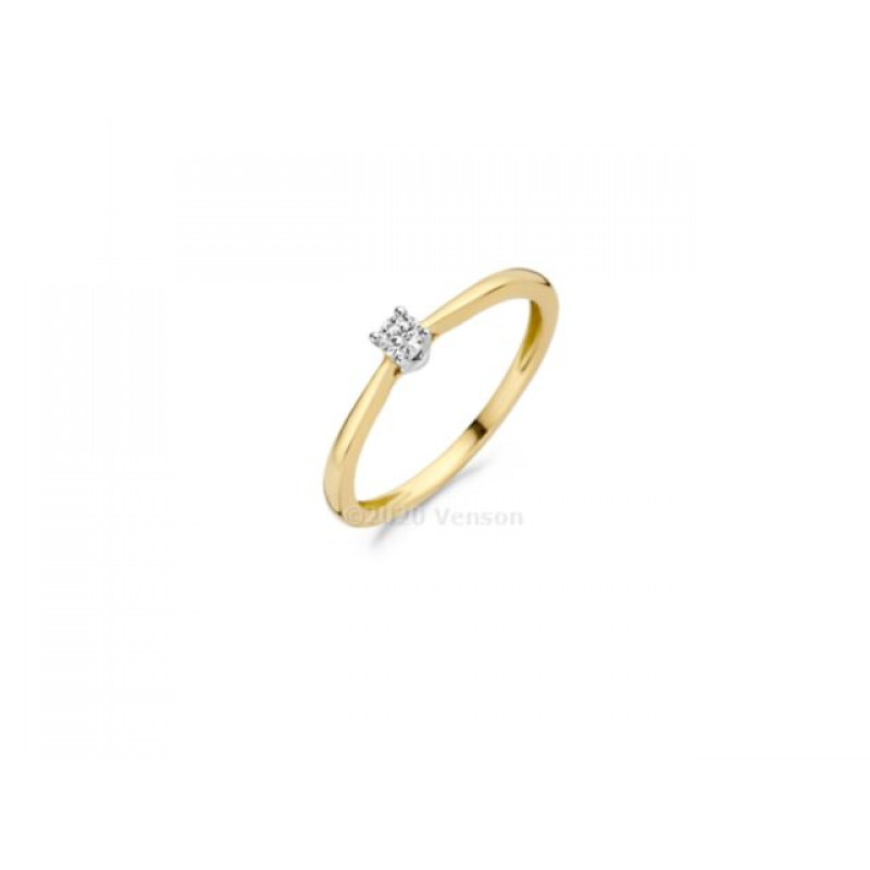 Gouden sieraden Blush - 62455