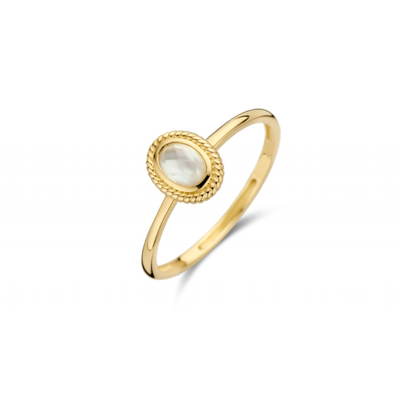 Gouden sieraden Blush - 60924