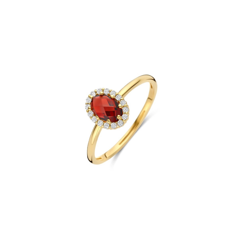 Gouden sieraden Blush - 63580